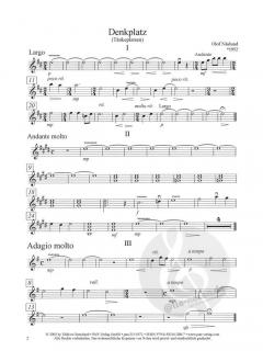 Denkplatz (Tänkeplatsen) von Olof Näslund für Gitarre und Zupforchester im Alle Noten Shop kaufen (Partitur)