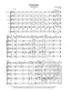 Denkplatz (Tänkeplatsen) von Olof Näslund für Gitarre und Zupforchester im Alle Noten Shop kaufen (Partitur)