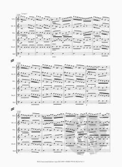 Once Upon A Time von Jean Pierre Yraeta für Zupforchester im Alle Noten Shop kaufen (Partitur)