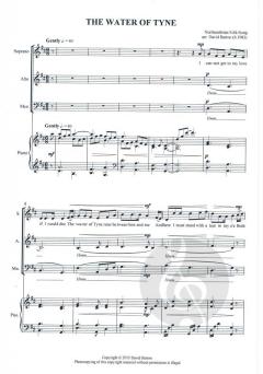 The Water of Tyne von David Barton 