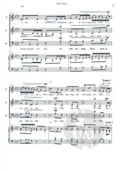 3 Traditional Scottish Arrangements von Chris Hutchings 