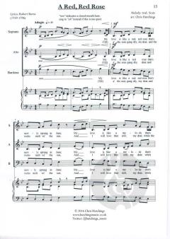 3 Traditional Scottish Arrangements von Chris Hutchings 