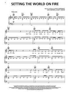 Setting the World On Fire von Pink 