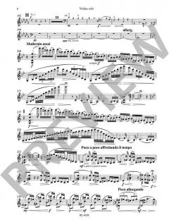 Violin-Konzert d-Moll op. 47 von Jean Sibelius 