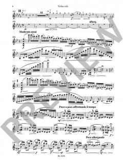 Violin-Konzert d-Moll op. 47 von Jean Sibelius 