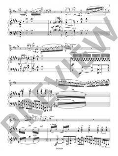 Concertstück op. 3 von Joachim Andersen 