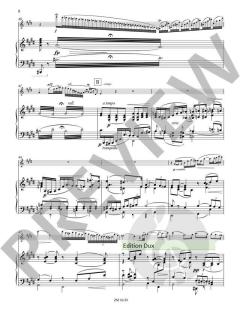 Concertstück op. 3 von Joachim Andersen 