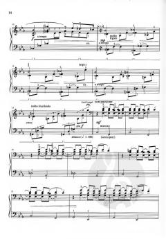 Criminal Chords von Wolfgang Josef Fuchs 