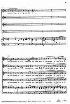 Salvator mundi, Domine (Jan Wilke) 