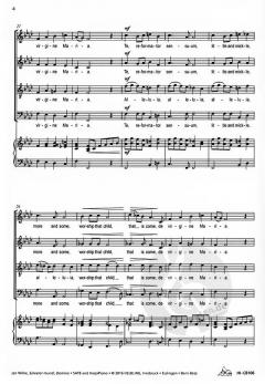 Salvator mundi, Domine (Jan Wilke) 