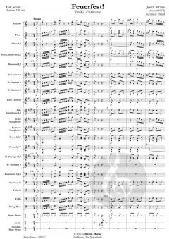 Feuerfest! von Josef Strauss 