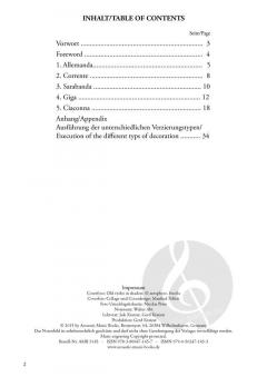 Irish Guitar Tunes - Songs, Jigs, Reels, Polkas und Hornpipes von Patrick Steinbach 