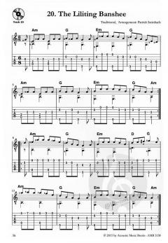 Irish Guitar Tunes - Songs, Jigs, Reels, Polkas und Hornpipes von Patrick Steinbach 