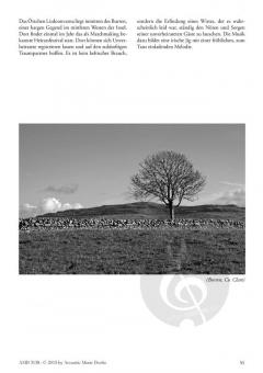 Irish Guitar Tunes - Songs, Jigs, Reels, Polkas und Hornpipes von Patrick Steinbach 