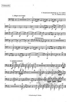 Mendelssohn-Suite 1 von Felix Mendelssohn Bartholdy für Streichorchester im Alle Noten Shop kaufen (Einzelstimme) - MWM40-019VC