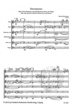 Divertimento (Eberhard Klemmstein) 