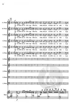 Die wilden Schwäne von Eberhard Klemmstein 