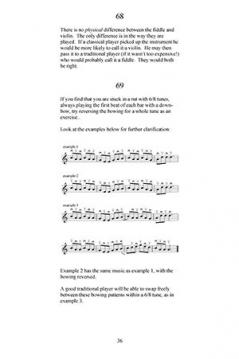 101 Tips for Fiddle von Philip John Berthoud 