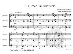 Lieder zur Advent und Weihnachtszeit 2 