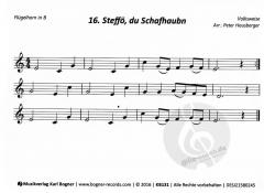 Bläserweisen zur Advent- & Weihnachtszeit 