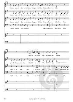 Der kleine Melchior und das Weihnachtskind (Rudolf Mauersberger) 