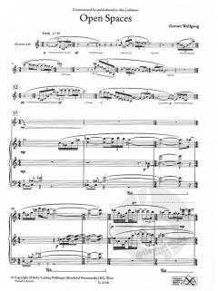 Open Spaces von Gernot Wolfgang für Klarinette und Klavier im Alle Noten Shop kaufen