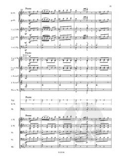 Allegro fantastique von Josef Strauss für Orchester - Erstdruck im Alle Noten Shop kaufen (Partitur)