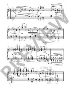 Preludi Band 3 von Renato de Grandis 