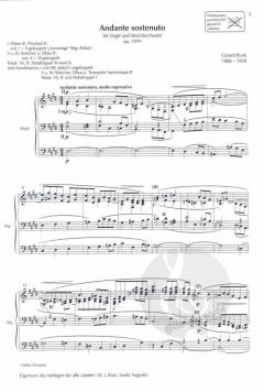 Andante sostenuto op. 75/3a von Gerard Bunk für Orgel und Streicher im Alle Noten Shop kaufen (Einzelstimme)