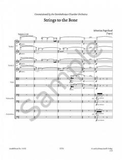 Strings to the Bone von Sebastian Fagerlund für Streichorchester im Alle Noten Shop kaufen (Partitur)