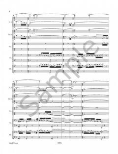 Strings to the Bone von Sebastian Fagerlund für Streichorchester im Alle Noten Shop kaufen (Partitur)