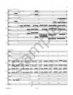 Strings to the Bone von Sebastian Fagerlund für Streichorchester im Alle Noten Shop kaufen (Partitur)