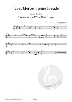 Jesus bleibet meine Freude von Johann Sebastian Bach 