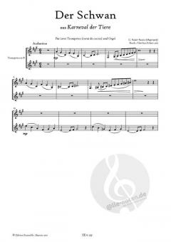 Der Schwan von Camille Saint-Saëns 