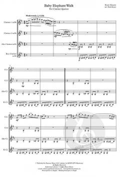 Baby Elephant Walk von Henry Mancini 