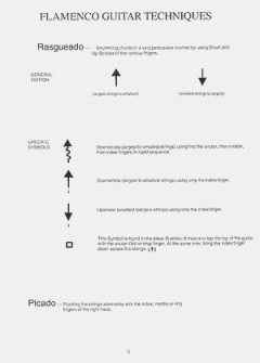 Flamenco Music For Acoustic Guitar von Mel Agen 