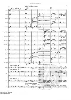 The Midday Sun Will Always Set (Henry Wolking) 