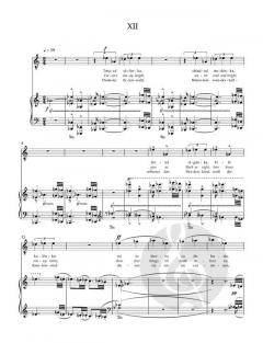 Tagebuch eines Verschollenen (Leo Eugen Janáček) 