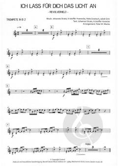 Ich lass für Dich das Licht an (Revolverheld) 