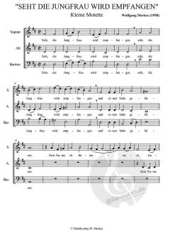 Seht, die Jungfrau wird empfangen (Wolfgang Merkes) 