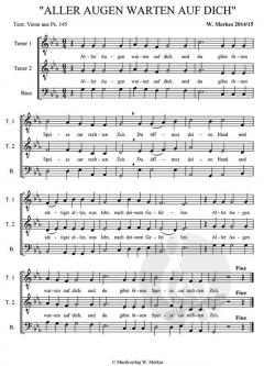 Aller Augen (Wolfgang Merkes) 