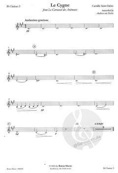 Le Cygne - The Swan (Camille Saint-Saëns) 