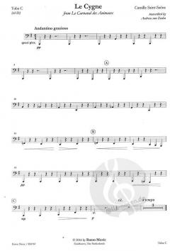Le Cygne - The Swan (Camille Saint-Saëns) 
