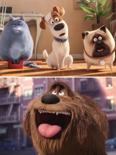 Illumination Presents: The Secret Life of Pets von Alexandre Desplat 