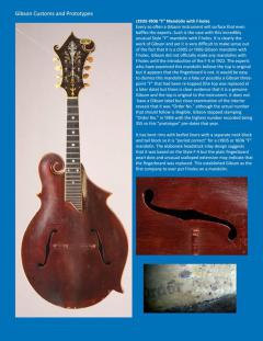 The Complete Guide to the Gibson Mandolins 