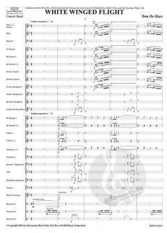 White Winged Flight (Tom de Haes) 