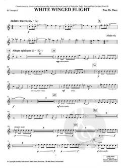 White Winged Flight (Tom de Haes) 