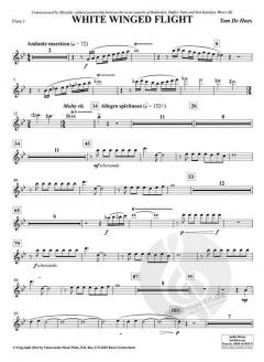 White Winged Flight (Tom de Haes) 