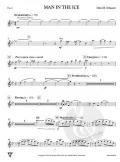 Man in the Ice (Otto M. Schwarz) 