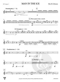 Man in the Ice (Otto M. Schwarz) 